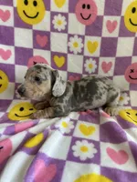 processed/f4527e03-8192-49cd-82be-af01160618a7/listing/faa3f4ff-1d30-42c0-af09-1bebe977760b/ad290eaa-2ef7-4696-bc81-d584ae11e2f6