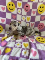 processed/f4527e03-8192-49cd-82be-af01160618a7/listing/faa3f4ff-1d30-42c0-af09-1bebe977760b/e434e4b8-03fc-4f7b-9852-52553a31b429