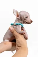 processed/f4530009-7315-481b-afd3-9205679b7724/listing/22c97037-b808-4ce6-9111-adeee083a8c2/4a6b6154-8d20-4a88-a0fc-216ca4a12505