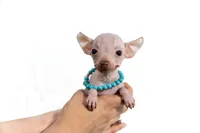 processed/f4530009-7315-481b-afd3-9205679b7724/listing/22c97037-b808-4ce6-9111-adeee083a8c2/890e24e8-9987-4208-a85d-9e41a55a876c