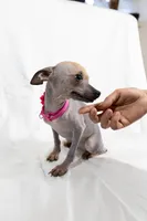 processed/f4530009-7315-481b-afd3-9205679b7724/listing/74345616-1212-4d85-8cf3-9cfd18ac92cf/2dfcab7e-8247-4c49-9882-eb9ac86cdab4