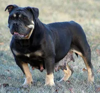 processed/f45ec8cb-54bf-457e-93c2-9d31f5b34fa0/listing/11f89c11-5d75-4b23-bdd6-51f3854efa36/1c3c8038-6c06-48ff-802e-d5652d8e35cb