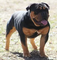 processed/f45ec8cb-54bf-457e-93c2-9d31f5b34fa0/listing/11f89c11-5d75-4b23-bdd6-51f3854efa36/7c67cfc1-54ec-4045-be62-a07ec3eec4b1