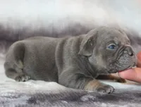 processed/f45ec8cb-54bf-457e-93c2-9d31f5b34fa0/listing/11f89c11-5d75-4b23-bdd6-51f3854efa36/7cc4e41f-06d3-4b45-a225-e3a2f6322f72