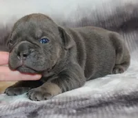 processed/f45ec8cb-54bf-457e-93c2-9d31f5b34fa0/listing/11f89c11-5d75-4b23-bdd6-51f3854efa36/c688f496-e0f0-41ee-808d-672c54cd195e