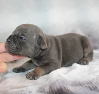 processed/f45ec8cb-54bf-457e-93c2-9d31f5b34fa0/listing/8e7931a0-4dce-4225-8cc1-56007a1c5214/3bfaeb98-6bc2-4280-8cc9-09b9bcddb439