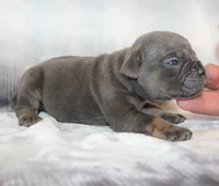 processed/f45ec8cb-54bf-457e-93c2-9d31f5b34fa0/listing/8e7931a0-4dce-4225-8cc1-56007a1c5214/687d93a8-0b73-4431-ba10-7e9b02fd0f56