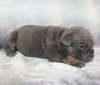 processed/f45ec8cb-54bf-457e-93c2-9d31f5b34fa0/listing/8e7931a0-4dce-4225-8cc1-56007a1c5214/cfc3532d-12e1-4a3d-af98-6e0bde24714b