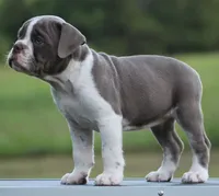 processed/f45ec8cb-54bf-457e-93c2-9d31f5b34fa0/listing/fb5dcf6b-987e-4a3a-9046-57454dda271d/408837d2-ab32-4328-a3f2-c29a776a36af