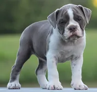 processed/f45ec8cb-54bf-457e-93c2-9d31f5b34fa0/listing/fb5dcf6b-987e-4a3a-9046-57454dda271d/8fb20496-f93f-4338-ad8e-05d3fd33fb68