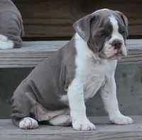 processed/f45ec8cb-54bf-457e-93c2-9d31f5b34fa0/listing/fb5dcf6b-987e-4a3a-9046-57454dda271d/e244a449-e1b7-4730-8589-29e5e0515022