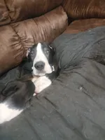 processed/f466f428-c8d8-4515-960e-ce8b93d1f28d/listing/93d318dc-5608-4de7-a39f-8bd6101081c1/10ea0c6e-b862-4620-bc30-692ec34606e6