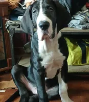 processed/f466f428-c8d8-4515-960e-ce8b93d1f28d/listing/93d318dc-5608-4de7-a39f-8bd6101081c1/1ce93e8b-c3a5-495f-a693-07d08729715a