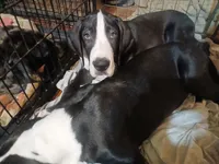 processed/f466f428-c8d8-4515-960e-ce8b93d1f28d/listing/93d318dc-5608-4de7-a39f-8bd6101081c1/206e8e04-4967-495c-aebe-a44e8b15f551