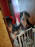 processed/f466f428-c8d8-4515-960e-ce8b93d1f28d/listing/93d318dc-5608-4de7-a39f-8bd6101081c1/27df0535-ba00-41a9-a5e2-dbd1b042d69f