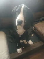 processed/f466f428-c8d8-4515-960e-ce8b93d1f28d/listing/93d318dc-5608-4de7-a39f-8bd6101081c1/498458fc-2bb8-4652-be71-67037d7cde70