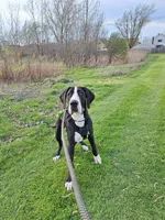 processed/f466f428-c8d8-4515-960e-ce8b93d1f28d/listing/93d318dc-5608-4de7-a39f-8bd6101081c1/53577244-6192-4cd7-94ce-e32b161cad1c