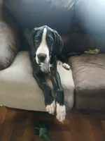 processed/f466f428-c8d8-4515-960e-ce8b93d1f28d/listing/93d318dc-5608-4de7-a39f-8bd6101081c1/64a35459-3644-4ac4-896a-139b598ecc89