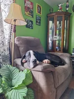 processed/f466f428-c8d8-4515-960e-ce8b93d1f28d/listing/93d318dc-5608-4de7-a39f-8bd6101081c1/c0633310-9564-4be1-a8a9-f51a07dde810