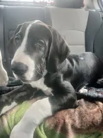 processed/f466f428-c8d8-4515-960e-ce8b93d1f28d/listing/93d318dc-5608-4de7-a39f-8bd6101081c1/d5a81595-68b2-4a0e-9e44-211c873680ea