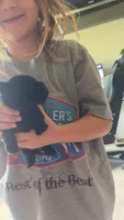 Ziva, a female Scottish Terrier for sale in Whitefield, OK – 1 of 3