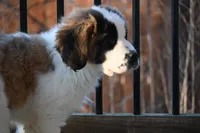 processed/f474c370-a41a-4d6e-9302-3dc1747fd9f5/listing/3ab65840-75e5-4bcf-9bd0-61fa6a071630/2e17fb14-778f-4753-815a-2e56d90a2d95