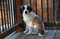 processed/f474c370-a41a-4d6e-9302-3dc1747fd9f5/listing/3ab65840-75e5-4bcf-9bd0-61fa6a071630/67780e6a-37ee-405b-aeff-8a1a410d199f