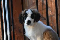 processed/f474c370-a41a-4d6e-9302-3dc1747fd9f5/listing/3ab65840-75e5-4bcf-9bd0-61fa6a071630/74a250ce-cb15-4a21-9c6c-49014c094bec