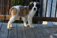 processed/f474c370-a41a-4d6e-9302-3dc1747fd9f5/listing/3ab65840-75e5-4bcf-9bd0-61fa6a071630/8582ef81-2470-45fa-9746-c94dedfb410c