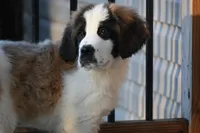 processed/f474c370-a41a-4d6e-9302-3dc1747fd9f5/listing/3ab65840-75e5-4bcf-9bd0-61fa6a071630/e9f081d5-60c7-4fb3-9035-0c5ad2f95997