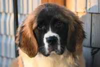 processed/f474c370-a41a-4d6e-9302-3dc1747fd9f5/listing/a82e5c6b-923a-4197-ab19-8ba6e0fc7cb0/13906ec0-dd7a-42a7-99bb-8a42f1345ec6