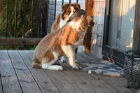 processed/f474c370-a41a-4d6e-9302-3dc1747fd9f5/listing/a82e5c6b-923a-4197-ab19-8ba6e0fc7cb0/1506e751-a731-427e-8943-55c644a40a50