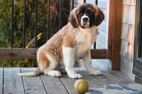 processed/f474c370-a41a-4d6e-9302-3dc1747fd9f5/listing/a82e5c6b-923a-4197-ab19-8ba6e0fc7cb0/41f67268-5bc0-43e8-8831-19d82e8f1b22