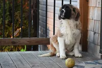 processed/f474c370-a41a-4d6e-9302-3dc1747fd9f5/listing/a82e5c6b-923a-4197-ab19-8ba6e0fc7cb0/4d958931-41df-4b0f-ac75-dba671efc0be