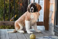 processed/f474c370-a41a-4d6e-9302-3dc1747fd9f5/listing/a82e5c6b-923a-4197-ab19-8ba6e0fc7cb0/55b11e05-e295-4d93-b2e7-6ecc0610c506