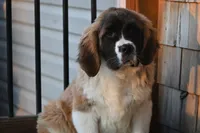 processed/f474c370-a41a-4d6e-9302-3dc1747fd9f5/listing/a82e5c6b-923a-4197-ab19-8ba6e0fc7cb0/efaa87ef-cc96-453b-b271-3b966ba98db5