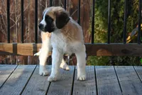 processed/f474c370-a41a-4d6e-9302-3dc1747fd9f5/listing/bc25518d-93f0-48ae-9d3f-5276a4b1aaa2/0808b178-ac77-4d1b-91dc-7351d90141ef