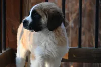 processed/f474c370-a41a-4d6e-9302-3dc1747fd9f5/listing/bc25518d-93f0-48ae-9d3f-5276a4b1aaa2/17327882-fb40-4ecd-a6ee-939a32ee8976