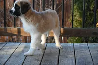 processed/f474c370-a41a-4d6e-9302-3dc1747fd9f5/listing/bc25518d-93f0-48ae-9d3f-5276a4b1aaa2/50d655c8-c3d9-4914-8595-f94691de381c