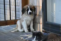 processed/f474c370-a41a-4d6e-9302-3dc1747fd9f5/listing/bc25518d-93f0-48ae-9d3f-5276a4b1aaa2/8e31d145-37fe-44bb-9f95-4f8756b08fd7