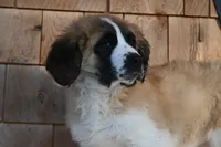 processed/f474c370-a41a-4d6e-9302-3dc1747fd9f5/listing/bc25518d-93f0-48ae-9d3f-5276a4b1aaa2/c8740075-cdc8-4702-bc11-836d118d2e8b