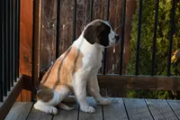 processed/f474c370-a41a-4d6e-9302-3dc1747fd9f5/listing/c25b5c02-975a-4f89-a078-168d23621096/3ce9553c-b556-4008-b98d-7057b6dab627