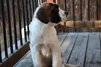 processed/f474c370-a41a-4d6e-9302-3dc1747fd9f5/listing/c25b5c02-975a-4f89-a078-168d23621096/ad6c4846-b1aa-45b7-80ad-1e218c1cb9c5