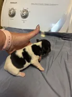 processed/f4775c48-ce22-4818-9410-1bfda73918c8/listing/6641a3ab-71da-4243-95ba-7b608288ad4b/1905cecd-7977-4474-a3b0-d8d8633f0859