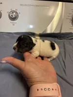 processed/f4775c48-ce22-4818-9410-1bfda73918c8/listing/6641a3ab-71da-4243-95ba-7b608288ad4b/319ad8bc-6eec-4aac-9197-4bf82245a3b7