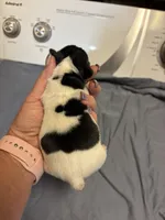 processed/f4775c48-ce22-4818-9410-1bfda73918c8/listing/6641a3ab-71da-4243-95ba-7b608288ad4b/dc62bc6e-a42a-4206-b07f-c1d8d63d4676