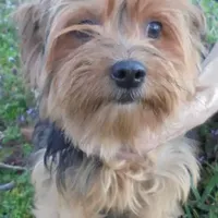 processed/f4794442-ffad-4712-9e62-aff68bf99519/facility/0811bf0c-6869-4ed0-afa5-0e3fc86ea283