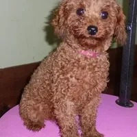 processed/f4794442-ffad-4712-9e62-aff68bf99519/facility/2259bd01-df37-452f-a083-a6851da96252