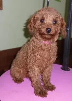 processed/f4794442-ffad-4712-9e62-aff68bf99519/facility/2259bd01-df37-452f-a083-a6851da96252