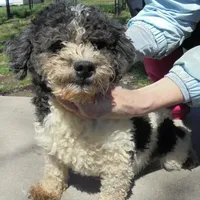 processed/f4794442-ffad-4712-9e62-aff68bf99519/facility/49060f52-3b5e-482f-b654-1713ea1eb57a